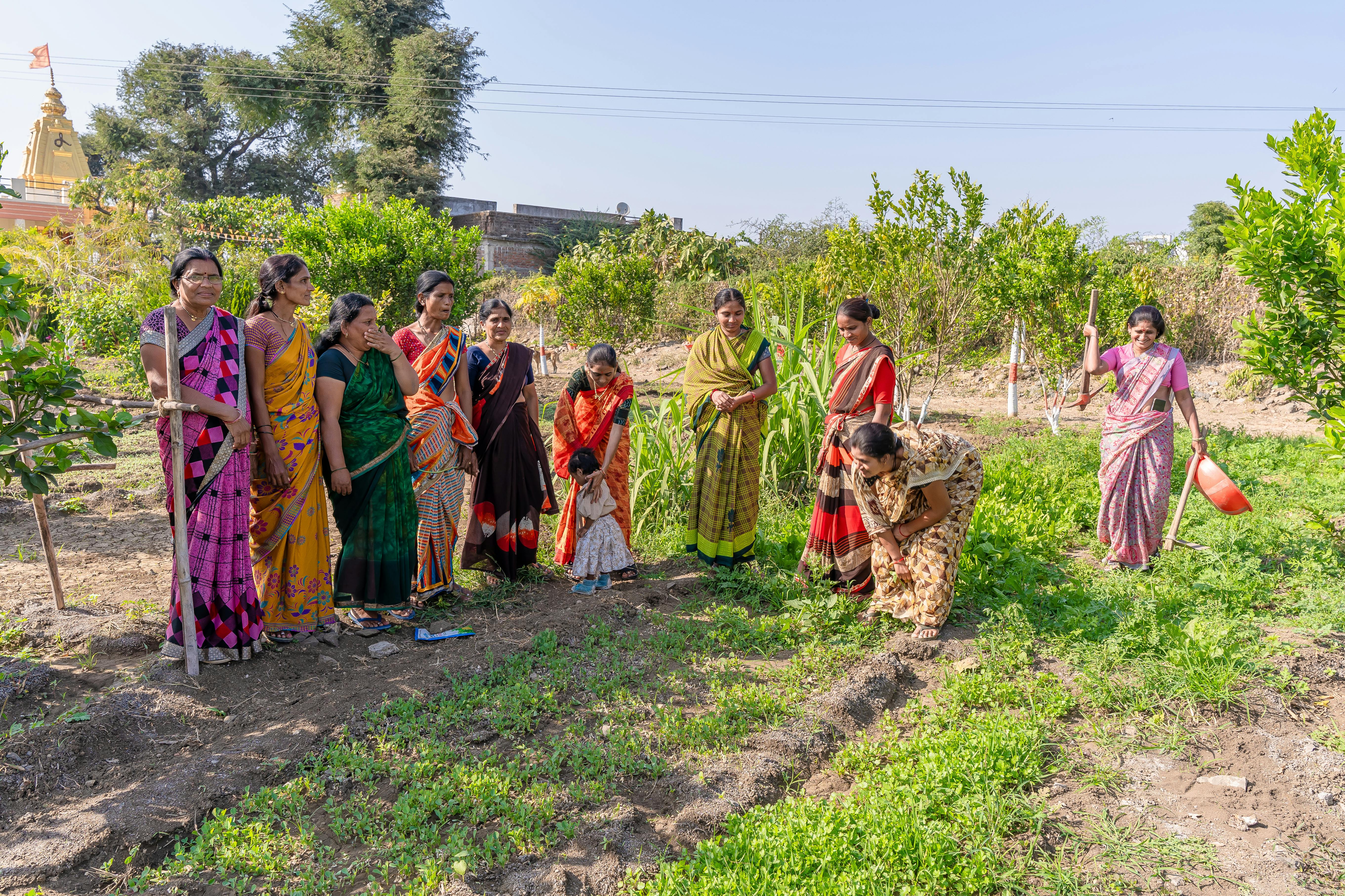 Rural BioEnergy Program